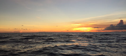 The Florida Keys. A Visitor's Guide to Islamorada.