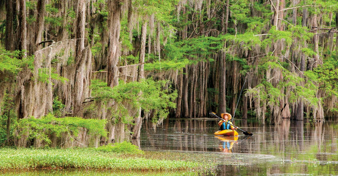 Kayaking Caddo Lake, Texas