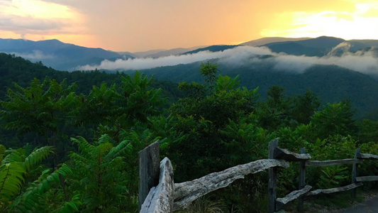 USA Road trip – Hiking in Great Smoky Mountain National Park