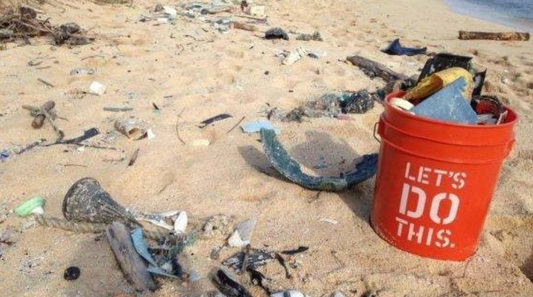 Get Involved in your Local Beach Clean up