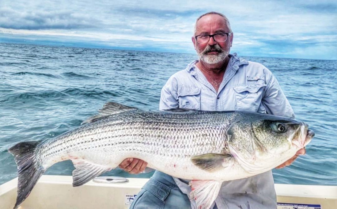 Montauk Fishing: Striped Bass Fishing With Capt. Savio Mizzi