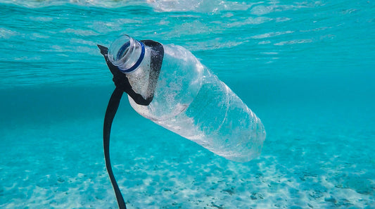Plastic Pollution and its Devastating Toll on our Ocean